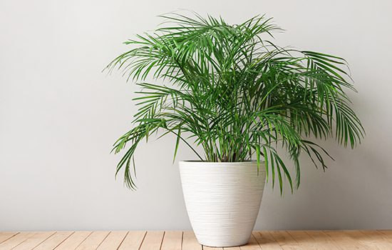 Channel Masking Service